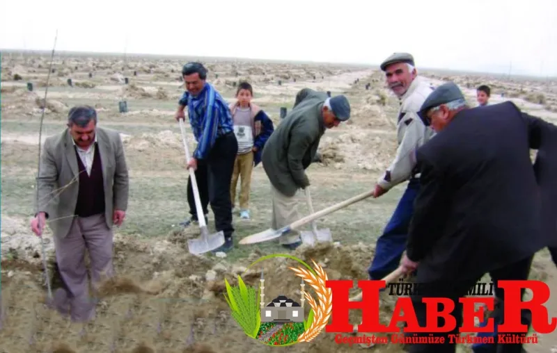 Hasan Berber Mustafa Şahman Ali Şahin Hasan Berber Kazım Seçgin